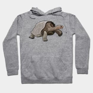 Galapagos tortoise cartoon illustration Hoodie